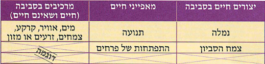 (בספר תמונה:)